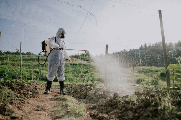 Best Pest Control for Businesses  in West Athens, CA
