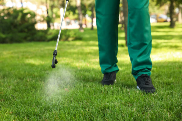Best Local Pest Control Services  in West Athens, CA