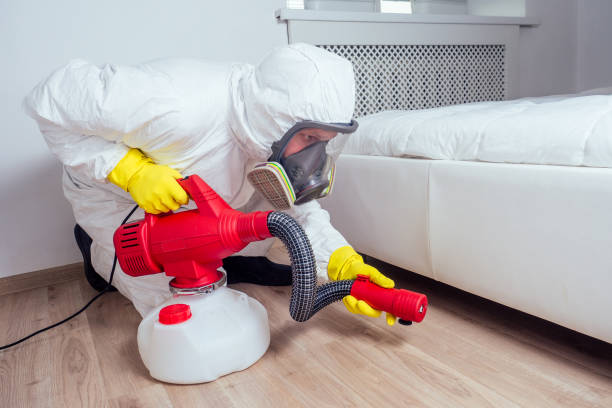 Best Pest Inspection Near Me  in West Athens, CA