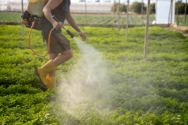 Best Pest Removal Services  in West Athens, CA