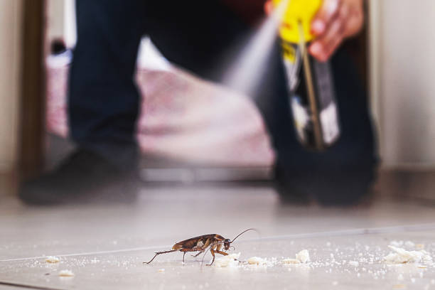 Best Pest Control for Homes  in West Athens, CA